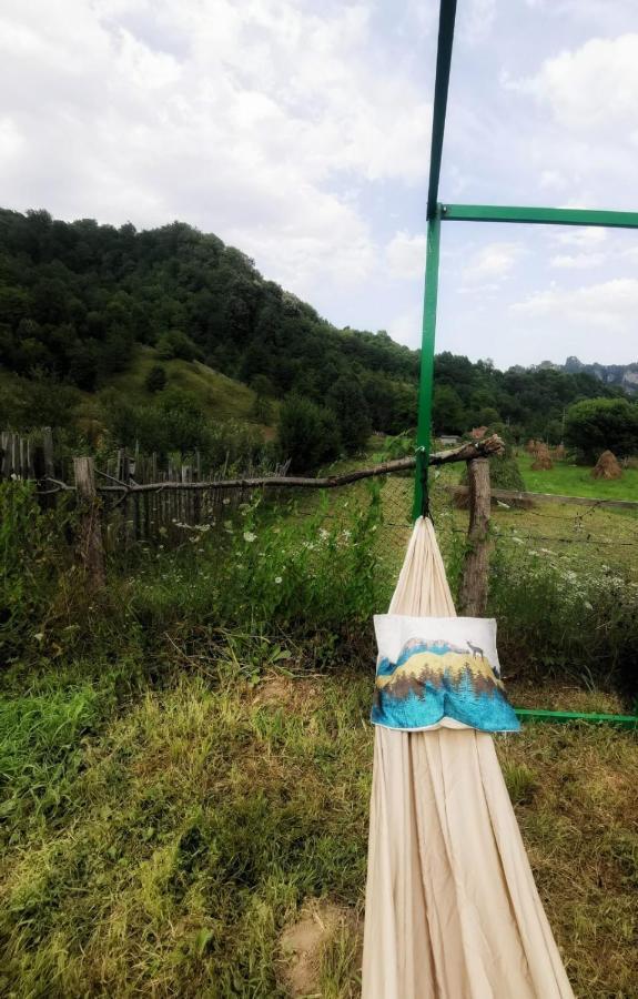 Luna Rock Glamping - Blue Scai Campsite Brezoi